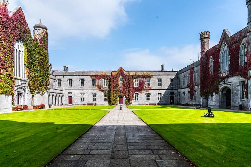 Top universities for data analytics in Ireland